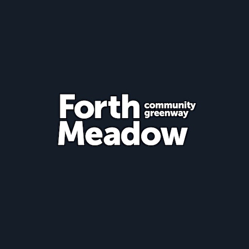 Forth Meadow Community Greenway Kites Fly High Sat 16th September 2023
