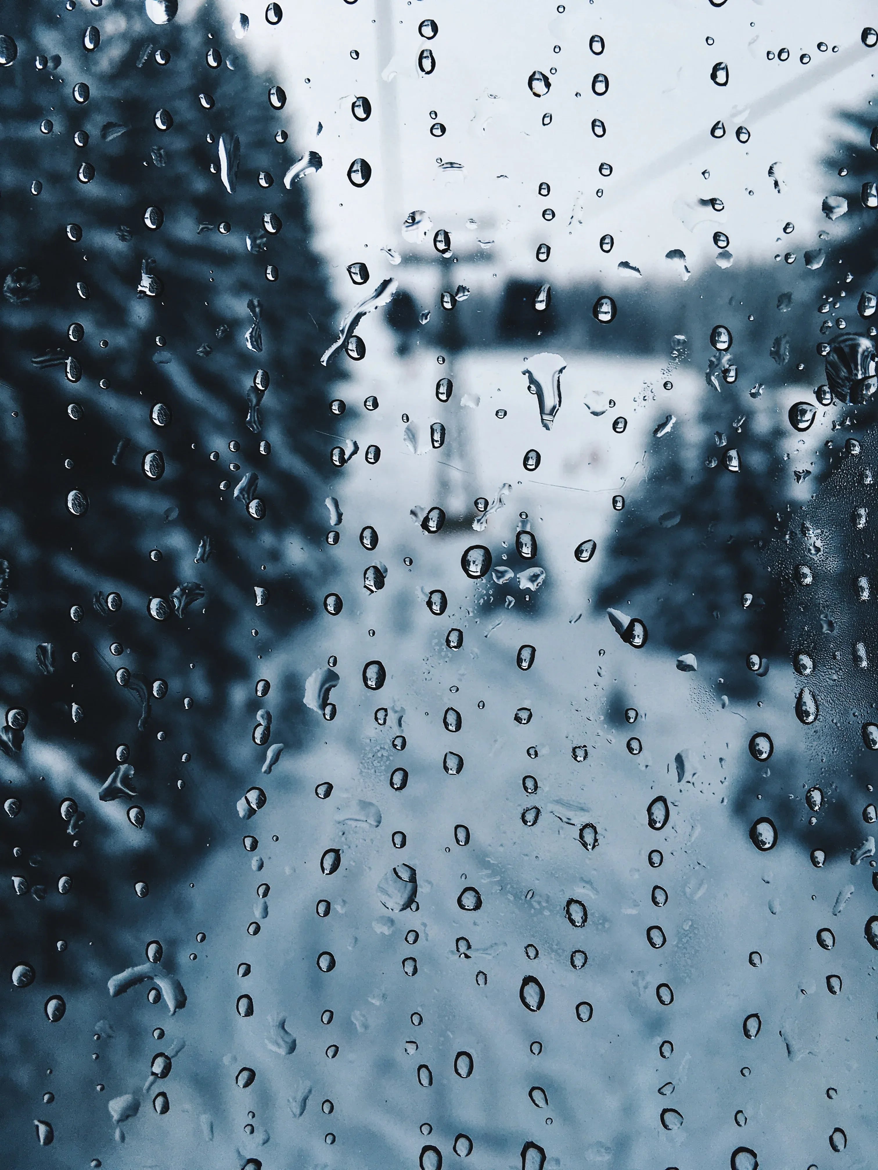 Let the Creativity Fly, Rain or Shine